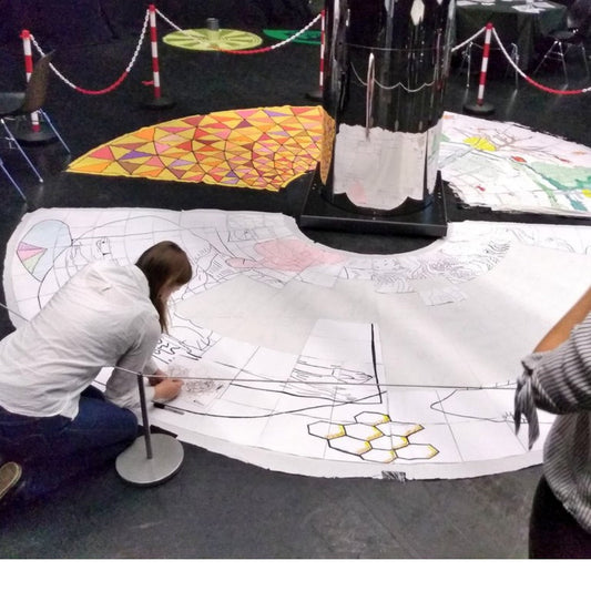 morphed images mirror anamorphosis